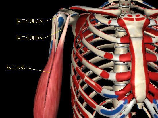 炎之軌跡最新版游戲深度解析與獨特體驗攻略