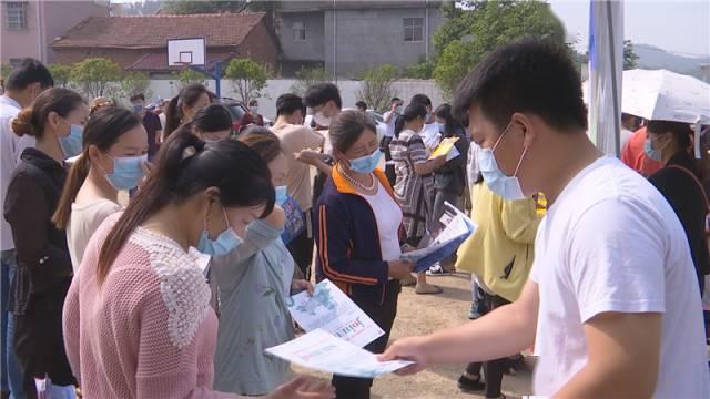 孝昌最新招聘動態(tài)與人才市場分析概覽