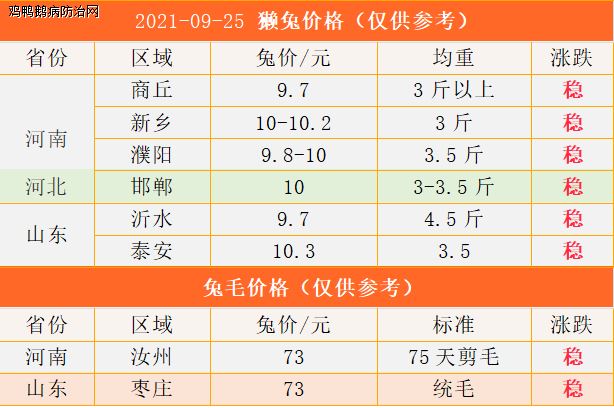 長(zhǎng)毛兔兔毛最新行情分析與價(jià)格概覽