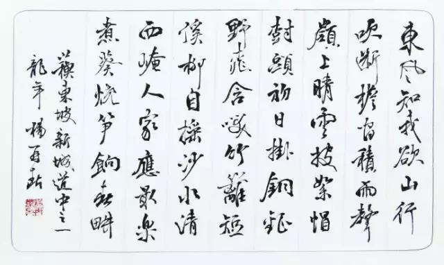 楊再春最新書(shū)法欣賞，傳統(tǒng)與現(xiàn)代的和諧交融之美