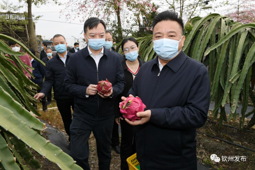 新澳精選資料免費提供｜全面貫徹解釋落實