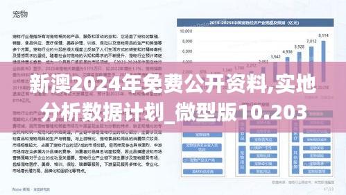 新澳24年正版資料,實地分析數據計劃_戰(zhàn)略版98.507