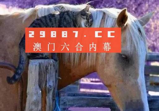 4949澳門特馬今晚開獎｜構(gòu)建解答解釋落實