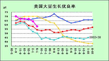 美國大豆期貨最新動態(tài)，市場走勢分析與展望