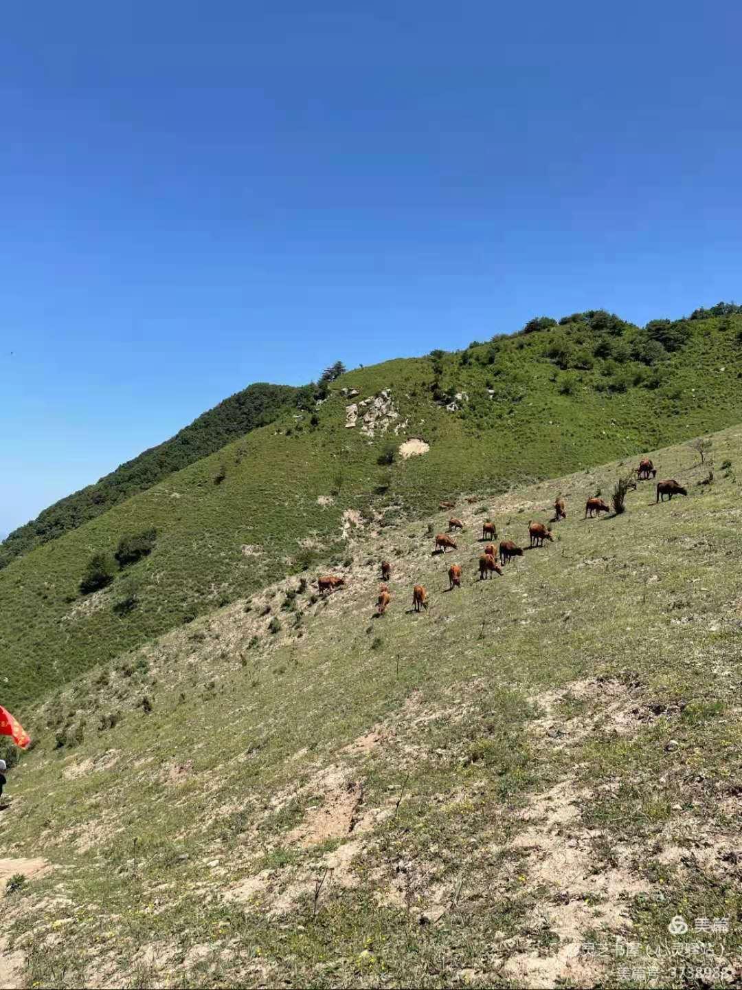 高山村新任領(lǐng)導(dǎo)引領(lǐng)村莊邁向嶄新輝煌