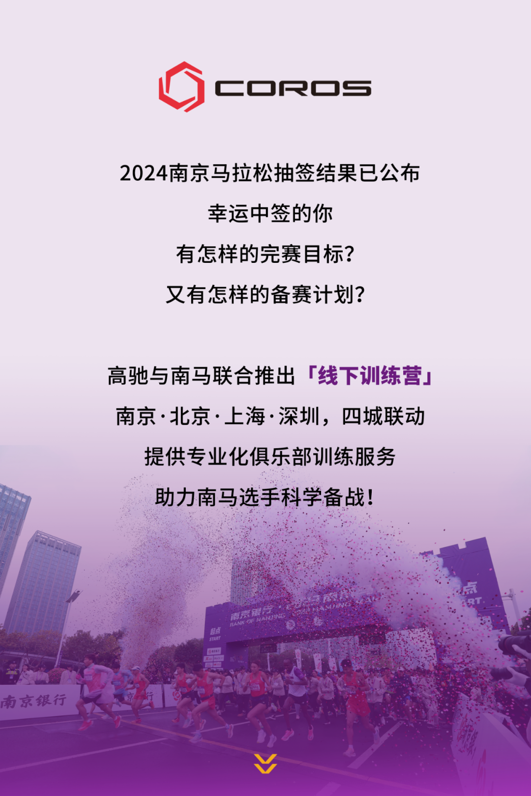 南馬最新招聘動態(tài)，崗位更新與影響分析