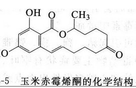 玉米赤霉烯酮最新標(biāo)準(zhǔn)及其影響概述