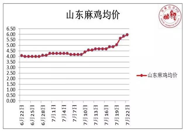 皖北麻雞最新行情及分析概述