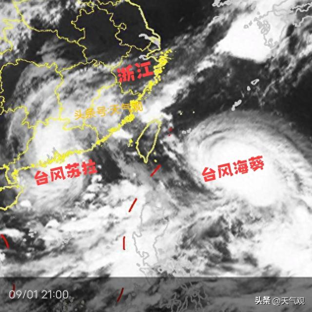 浙江臺風(fēng)網(wǎng)實時更新，最新臺風(fēng)動態(tài)及影響分析