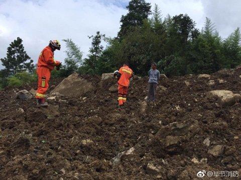 納雍最新消息,納雍最新消息全面解析